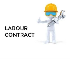 Labour Contractor