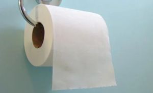 Toilet Paper Roll