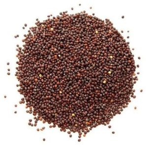 Brown Mustard Seeds