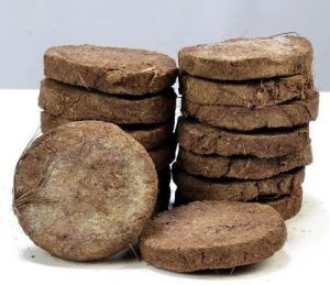 Round Cow Dung Cake