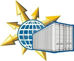 Import Clearance Service