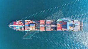 International Sea Freight Forwarding Service