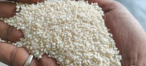 Broken Non Basmati Rice