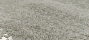 Sona Masoori Raw Rice