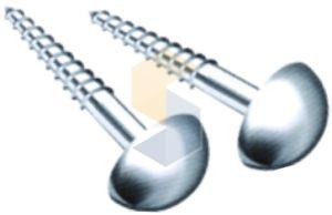Mirror Screw