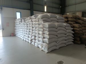 Whole Groundnut Peanut