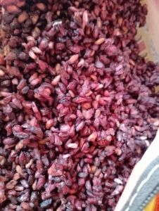 Fresh Pomegranate Seeds