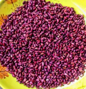 A Grade Pomegranate Seeds