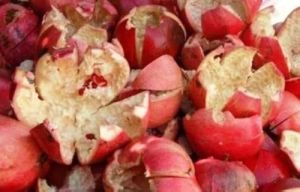 Dry Pomegranate Peel