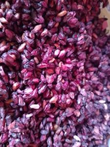 Organic Pomegranate Seeds