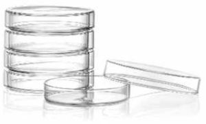 90mm Petri Dish