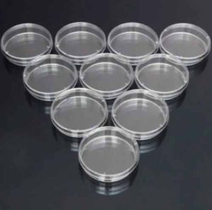 90mm Petri Dish