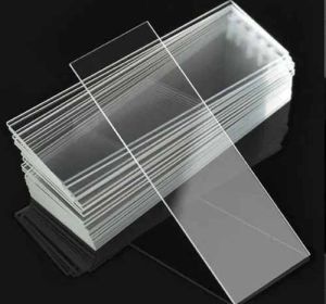 Microscope Glass Slide