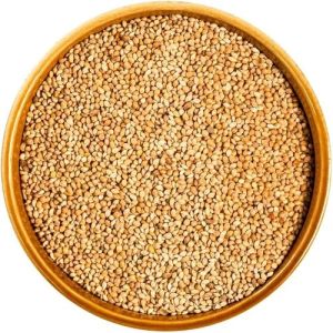 Organic Millet Seeds