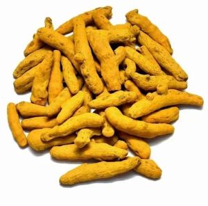 Finger Turmeric