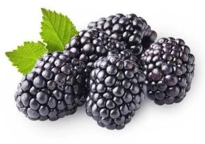 Fresh Blackberries Fresh Blackberries