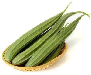 Fresh Ridge Gourd