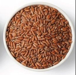 Hard Red Wheat Hard Red Wheat