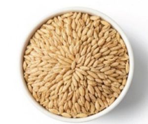 Hard White Wheat Hard White Wheat