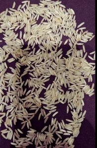 Sugandha Steam Non Basmati Rice