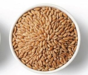Wheat Berries