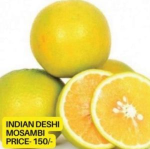 Desi Mosambi Plant