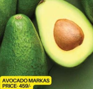 Marcus Avocado Plant