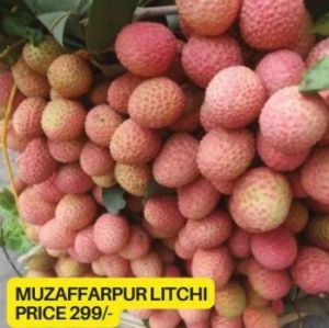 Muzaffarpur Litchi Plant