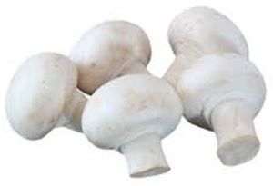 Daily Fresh Button Mushroom