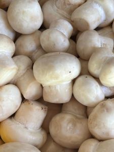 Farm Fresh Button Mushroom