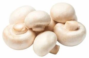 Fresh Farm Button Mushroom