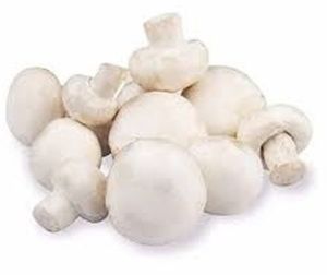 Natural Button Mushroom