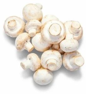 Organic Button Mushroom