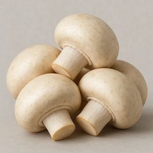 Pure Button Mushroom