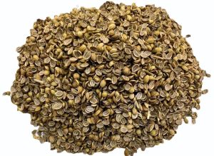 Clean Coriander Split Seeds