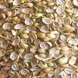 Dried Coriander Split Seeds