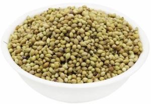 Premium Coriander Seeds