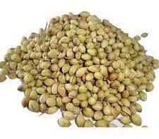Pure Coriander Seeds