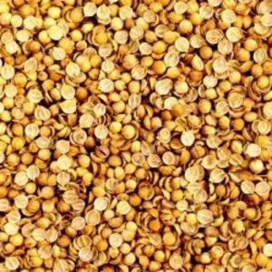 Whole Coriander Split Seeds