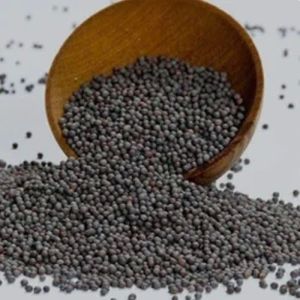 Black Mustard Seeds