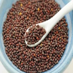 Brown Mustard Seeds