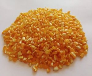 Yellow Maize Seeds