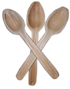 Natural Areca Leaf Spoon