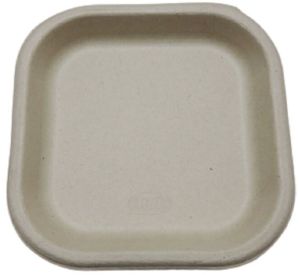Square Sugarcane Bagasse Plates