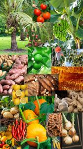 Agricultural Food Products