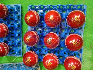 Leather Cricket Ball