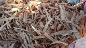 Sandalwood Chips