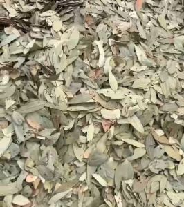 Dry Bay Leaf