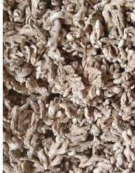 Dry Ginger