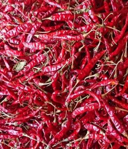 Dry Red Chilli
